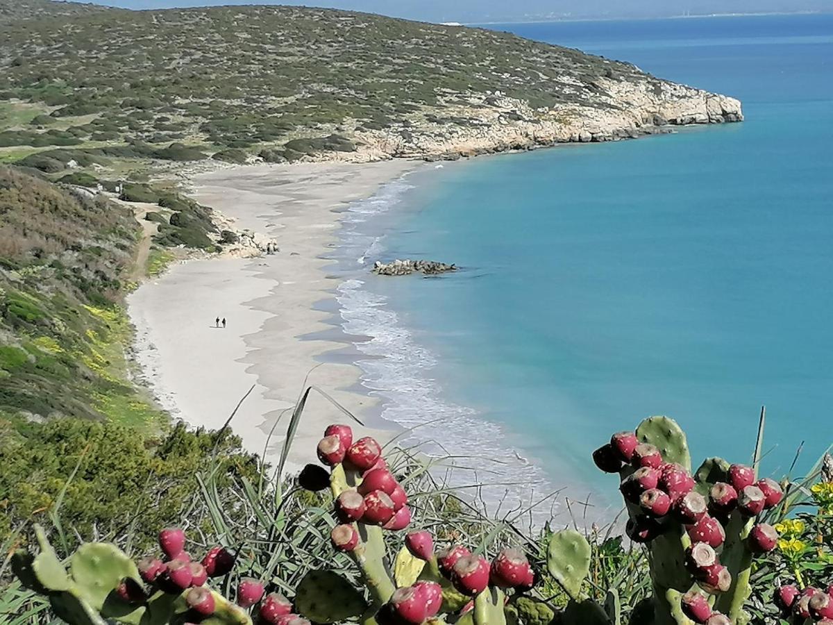 Il Lentischio Hotel Cala Sapone Екстериор снимка
