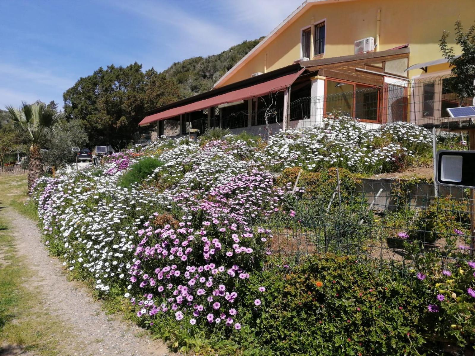 Il Lentischio Hotel Cala Sapone Екстериор снимка